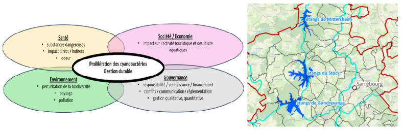 Aperçu du projet NoCyano